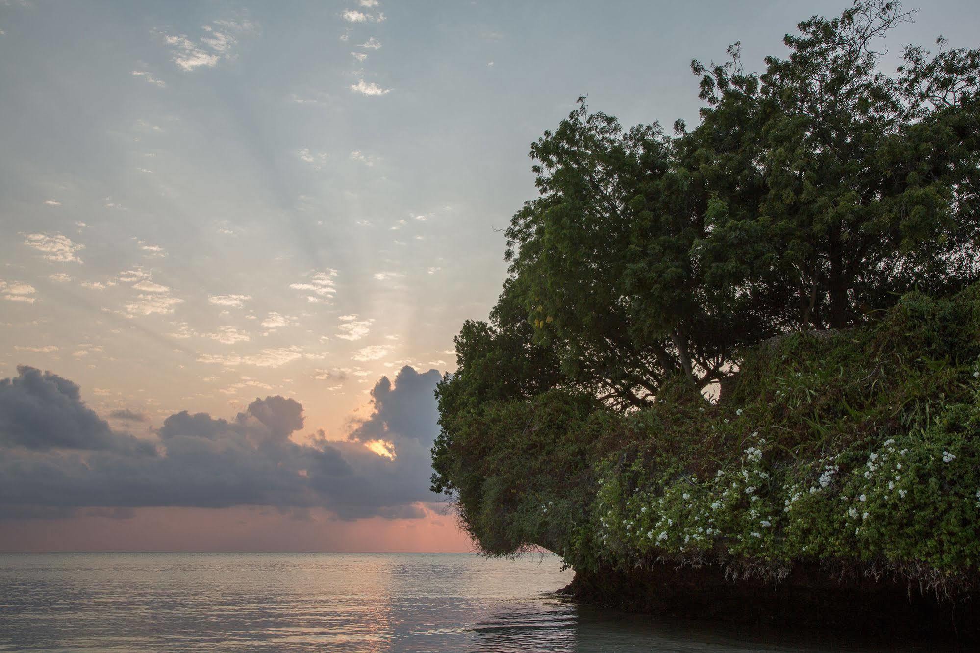 Ahg Dorado Cottage Malindi Eksteriør bilde